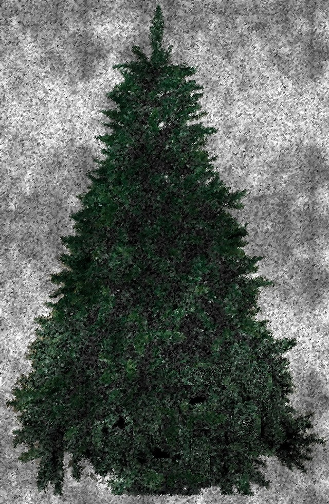 albero-di-natale-20121